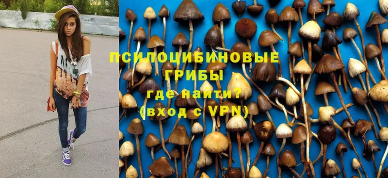 Псилоцибиновые грибы мицелий  Горняк 